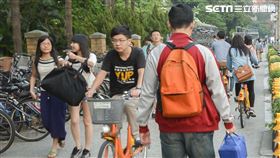 人潮,台大,大學生,台大。（圖／記者陳韋帆攝影）