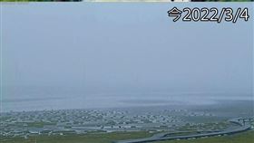 高美濕地（圖／資料照）