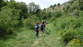 爬山，登山（圖／翻攝自unsplash）