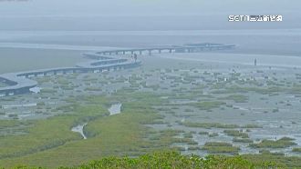 西半部空品差！環保局7天揪4違規案