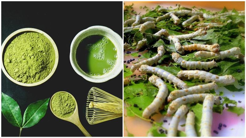 抹茶粉含蠶寶寶大便？營養師：是的
