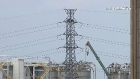 文 其邁帶頭告1800