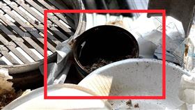 罐頭,強鹼,貓咪,中和,新北動保處,