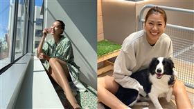 35歲名模林又立/臉書