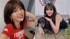 壯壯（圖／翻攝自壯壯IG）