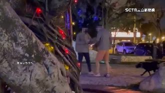 遛狗男遭勸清排泄物　憤而放狗咬人