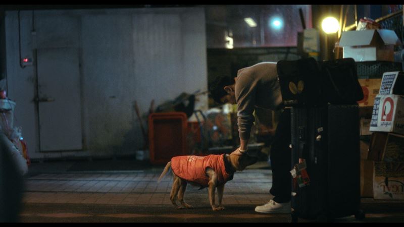 莊智淵拍片籲「等愛浪浪都能找到家」