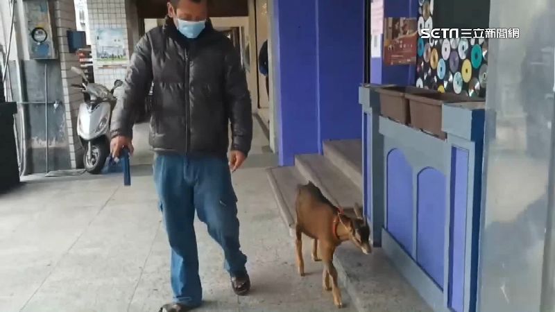 涉嫌興中街惡火！鄭嫌遭控靠羊騙錢