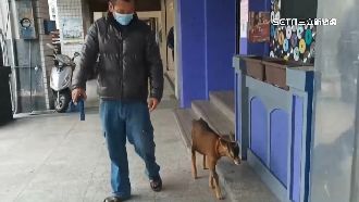 涉嫌興中街惡火！鄭嫌遭控靠羊騙錢