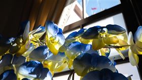 蘭花,烏克蘭,賴清德,台灣國際蘭展。(圖/翻攝自賴清德臉書)