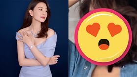 高圓圓（圖／翻攝自高圓圓工作室微博）