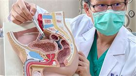 睪丸,精索,扭轉,劉兆漢（圖／東門綜合醫院提供）