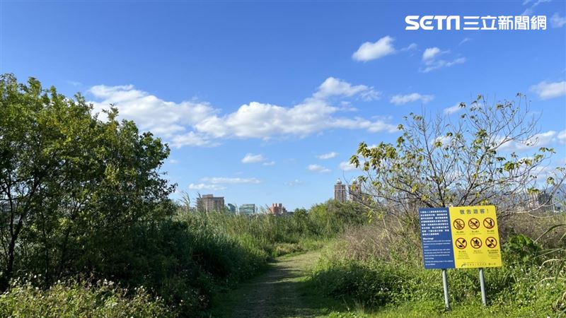 板橋河堤驚見男屍　遺體浮腫明顯死亡
