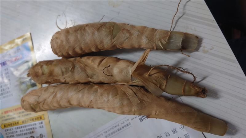 鄰居送3條咖啡色植物　內行曝正解