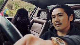 曹格（圖／翻攝自臉書）