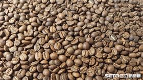 咖啡豆（記者陳弋攝影）