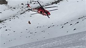 登山隊5人，攀登凱蘭特崑山往雪山方向，在北稜角前100公尺處，53歲張姓山友，不慎摔落約2、300公尺深山谷，直升機吊掛救援 (圖／翻攝畫面)