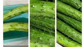 好市多,Costco,小黃瓜,白點,新鮮,