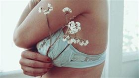 胸部,乳癌（圖／Pixabay）