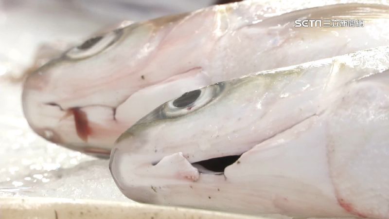 免驚鮭魚缺貨！台虱目魚可達生食等級