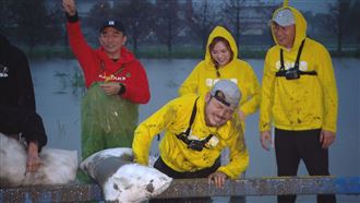 吳宗憲《玩很大》泥巴戰　收視居冠