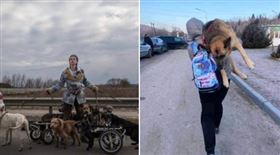 女子帶著有殘疾的狗狗們逃難。（圖／翻攝自MFA of Ukraine推特）