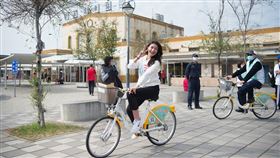 嘉義,戴寧,議員,涉詐,助理費