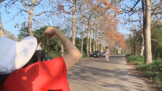 看霧社櫻王塞爆　埤頭木棉吸引追花族