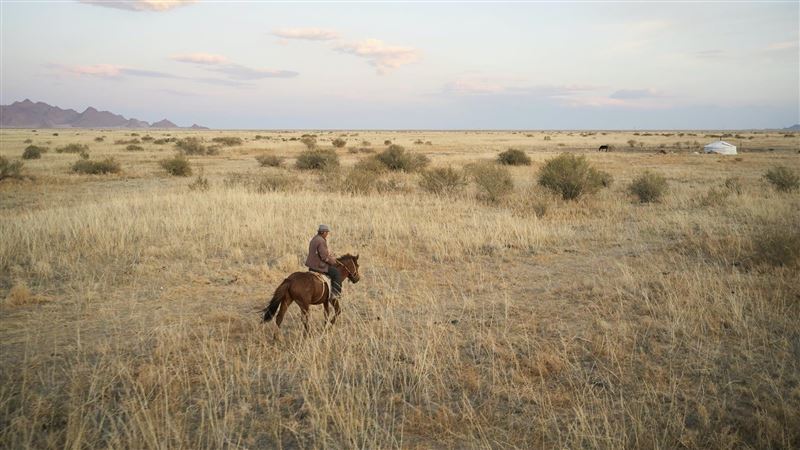 他為一夜御數女　獲「蛤蟆皇帝」綽號