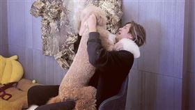 羅志祥的愛犬巨型貴賓Yuki人氣頗高。（圖／翻攝自yuki_2020_10_10 IG）