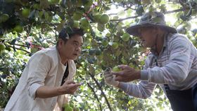 ▲莊瑞雄深入了解高樹鄉特產「高樹珍蜜十一號蜜雪棗」。（圖／莊瑞雄立委辦公室提供）