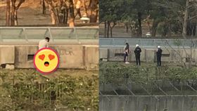 公園,情侶,警察,關切,拉鍊