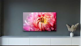 OVO 65吋4K增艷電視廣色域，售價只要2萬初。（圖／品牌提供）
