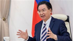 吳釗燮日前接受捷克媒體「經濟報」（Hospodarske noviny）總分析師Martin Ehl視訊專訪。（圖／取自外交部）