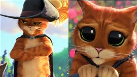 《鞋貓劍客2》。（圖／UIP提供）