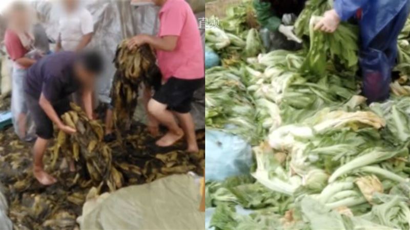 中國黑心酸菜光腳踩　康師傅泡麵下架