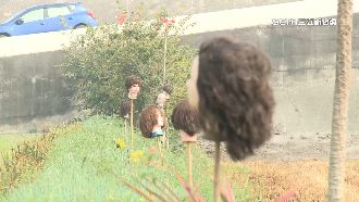 背後毛毛的！賞花秘境驚見整排頭顱