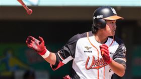 ▲統一獅林子豪春訓練習賽擊出全壘打。（圖／統一獅球團提供）