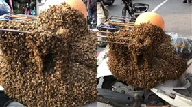 高雄路邊見「大群蜜蜂」快淹沒機車。（圖／民眾提供）