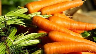 黑白大廚2紅蘿蔔爆紅！醫:1煮法營養飆9成