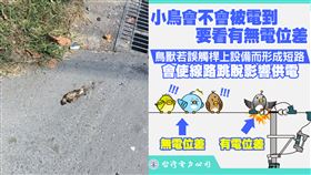 高雄大社、燕巢2000戶停電原因找到，為鳥碰觸帶電設備造成礙子破裂停電。（圖／台電提供,台電粉專