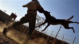 被狗咬，示意圖／翻攝自Pixabay