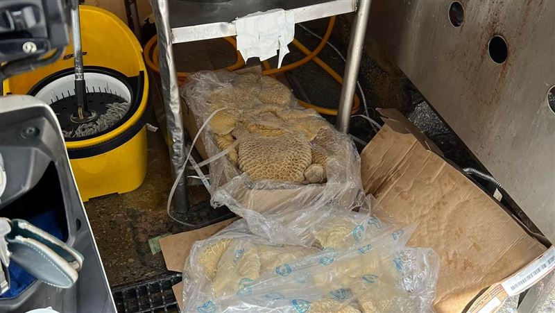 名店「牛肚放水溝」店員嗆：我會洗啦