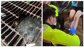 水溝蓋,鏽蝕,女學生,新竹市（圖／翻攝自臉書《新竹大小事》、翻攝畫面）