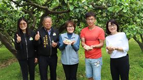 苗縣西湖柚花藝術節  3/26登場（2）苗栗縣西湖鄉栽種文旦柚已有半世紀，每年春天雪白柚花開滿園、清香芬芳，近年經西湖鄉公所及西湖鄉農會推廣「柚花藝術節」，邀遊客到鄉內健行、賞花，成為在地特色觀光活動，今年活動將於26日登場。（苗栗縣政府提供）中央社記者管瑞平傳真  111年3月17日