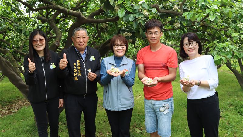 西湖柚花藝術節　環鄉巴士載客漫遊