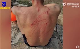 南京,游泳,黑天鵝,學生,大學生,中國《西部決策網》