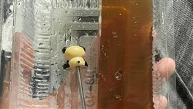 菜燕,洋菜凍(圖/翻攝自爆廢公社公開版臉書)