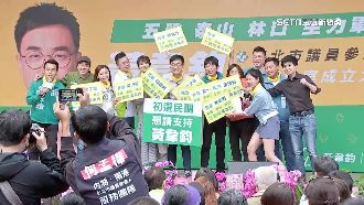 新北第2選區五泰林　綠營新人3搶1