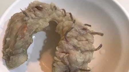 煮熟生腸冒出寄生蟲？民眾嚇全倒掉